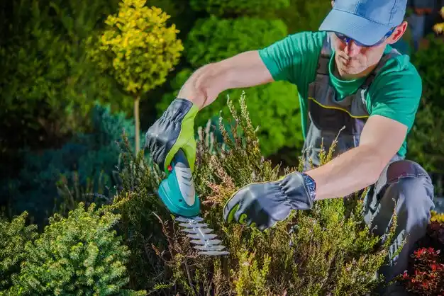 landscaping services Hayes